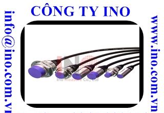 Cấu trúc và nguyên lý hoạt động của cảm biến tiệm cận điện cảm