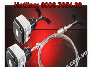 Cảm biến đo mức chất rắn dạng xoay AECO – Series RL – Level Controls – Rotative Level Controls – AECO Việt Nam
