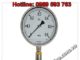 Đo áp suất-Pressure gauge with diaphragm seal model MS-100-Aplisens