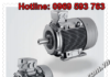 Three-phase squirrel cage motor Siemens – 1PQ8405-6PM90-Z – Siemens Việt Nam