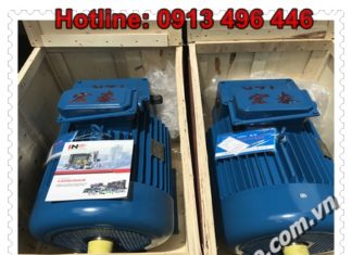 Động cơ Wuxi YZR315S-10-B3 – Motor Wuxi YZR225M-8 B3 – Wuxi Việt Nam