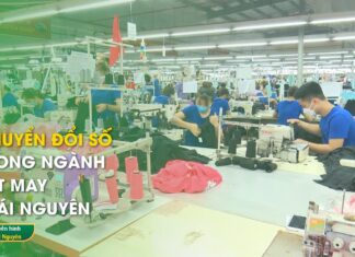 Chuyển đổi số trong ngành dệt may Thái Nguyên | Thái Nguyên TV AOIP Việt Nam | Distributor