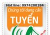 Tuyển dụng kỹ sư bán hàng kỹ thuật (SL: 02)