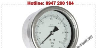 APLISENS-Gauge (Model: Ms-100k)