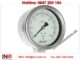APLISENS-Gauge (Model: Ms-100k)