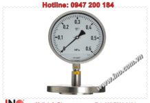 APLISENS-Gauge (Model: Ms-100 with diaphragm seal)