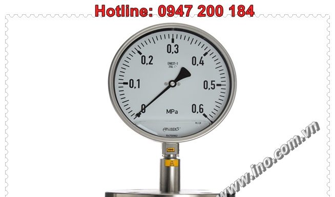 APLISENS-Gauge (Model: Ms-100 with diaphragm seal)
